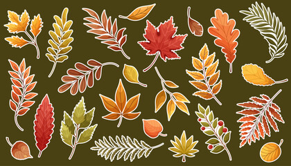 Set of stickers with autumn leaves from different trees, oak, maple, chestnut. Fall foliage. Colorful fall leaf collection for pattern, banner, sticker. Hello autumn. Flat vector illustration.
