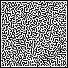 Black White Abstract Turing Pattern Square