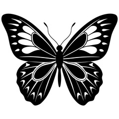 Butterfly silhouette