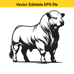 Obraz premium A powerful bull charges forward with aggressive intent