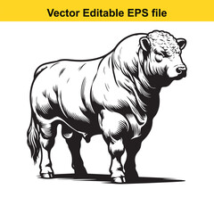 Fototapeta premium Powerful hand-Drawing bull isolated on white background