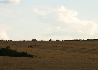 A large field with a house in the distance