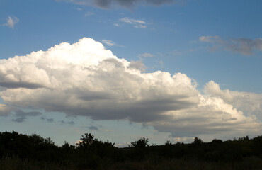 A cloudy sky over trees
