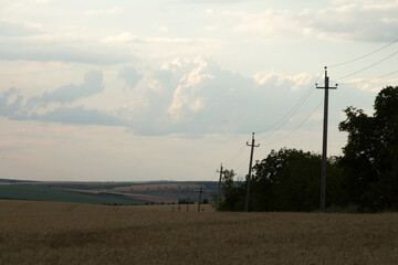 Power lines in a field