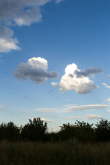 A field with trees and blue sky