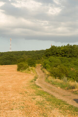 A dirt road with trees on either side of it