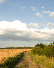 A dirt road with grass and trees on either side of it
