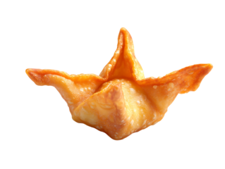 Crispy golden fried wonton dumpling isolated on transparent background