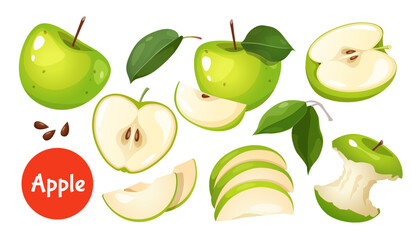 Fresh Apple Fruit vector collection set includes apple slices, whole and half apples, apple leaves isolated on white background.