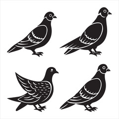 Obraz premium mourning dove icon silhouette vector