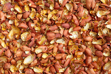 peanut shell background