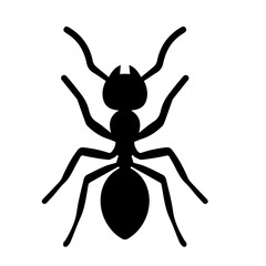 Ant Vector Illustration on White Background