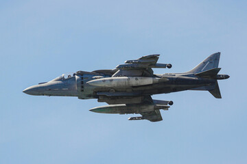 military maneuvers. Infantry, aviation and navy landing	