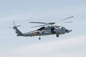 military maneuvers. Infantry, aviation and navy landing	
