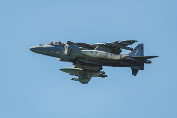 military maneuvers. Infantry, aviation and navy landing	