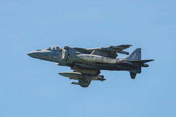 military maneuvers. Infantry, aviation and navy landing	