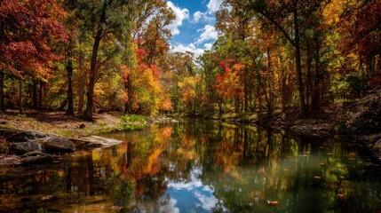 Autumnal forest reflections on a calm stream