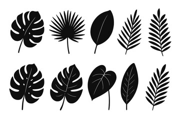 Tropical leaves silhouette collection for graphic design, nature, summer concepts, tropical foliage vector illustration, monochrome leaf art, exotic plants, botanical elements