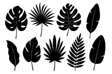 Tropical Leaf Silhouette Vector Collection for Graphic Design – Monstera, Palm, Banana, Fern, Jungle Foliage, Exotic Nature, Summer Decor, Botanical Clipart, Black Monochrome Set
