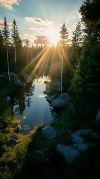 Forest Stream at Sunset with Golden Sun Rays &ndash; Serene Nature Scene