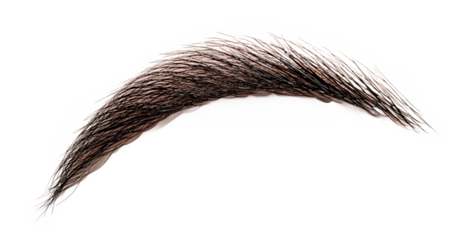 Eyebrow Shaper for Eyebrow Grooming and Styling - Isolated on White Background