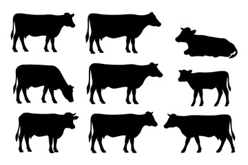Cow silhouettes set, ideal for farm, dairy, beef advertisements and educational graphics. Black cow figures on white background, versatile vector for agriculture and livestock.