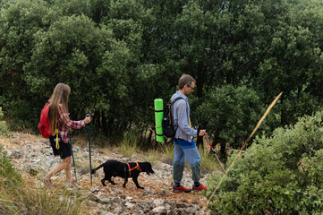 Couple Hiking in a Mountainous Landscape with a Dog on a Scenic Trail