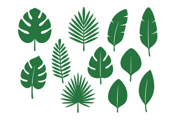 Set of tropical leaves silhouettes. Green palm leaf icons. Exotic jungle foliage vectors. Botanical nature plant design elements. Isolated eco friendly signs and symbols. Flora.