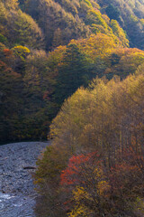 Obraz premium 日本の風景・秋 山梨県山梨市 紅葉の西沢渓谷