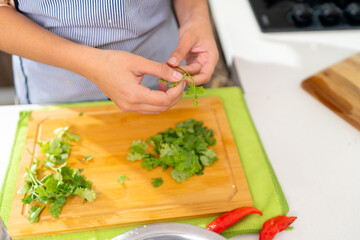 Chef preparing fresh cilantro for peruvian ceviche