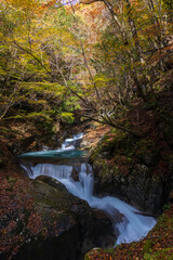 日本の風景・秋　山梨県山梨市　紅葉の西沢渓谷　三重の滝