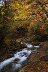 日本の風景・秋　山梨県山梨市　紅葉の西沢渓谷