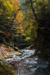 日本の風景・秋　山梨県山梨市　紅葉の西沢渓谷