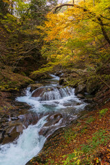 日本の風景・秋　山梨県山梨市　紅葉の西沢渓谷