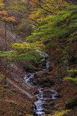 日本の風景・秋　山梨県山梨市　紅葉の西沢渓谷　大久保沢