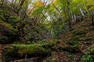 日本の風景・秋　山梨県山梨市　紅葉の西沢渓谷