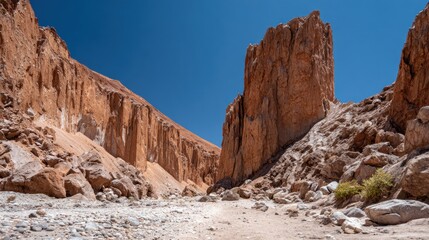 Obraz premium Canyon landscape under a clear sky