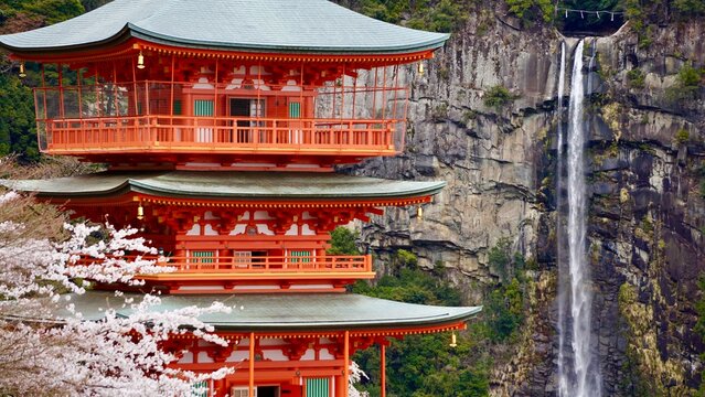 Amazing Red pagoda and waterfall in Japan during cherry blossom season, Kumano Nachi Taisha Shrine and Nachi Falls