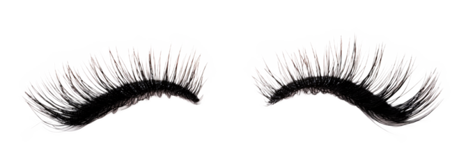 False Eyelashes for Eye Makeup and Beauty - Isolated on White Background
