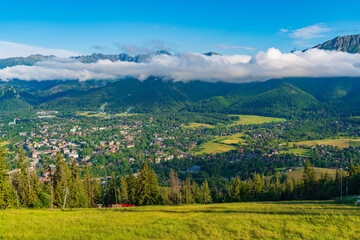 Obraz premium View of Tatra Mountains and the town on top of Gubalowka, a hill in Zakopane, Poland