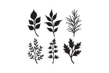 Collection of six black silhouette botanical leaf and branch illustrations
