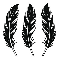 Obraz premium set of feathers