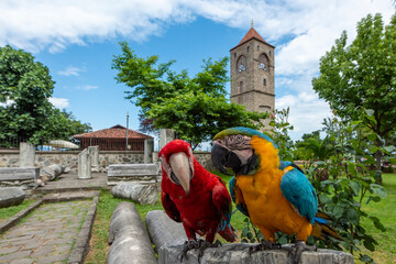 Trabzon Hagia Sophia mosque was built as a church in the Middle Ages. It was previously used as the Hagia Sophia church, and was later converted into a mosque. 