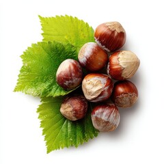 Isolated hazelnuts with a green leaf on a white background, showcasing their natural texture and color, ideal for food-related themes and healthy eating concepts.