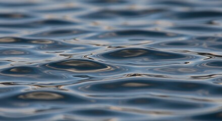 Calm Water Surface with Gentle Ripples and Reflections in Natural Light