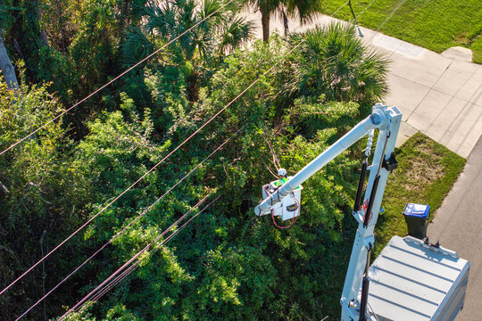 Aerial view of electrician utility worker trimming tree branches around power lines in Florida suburban area
