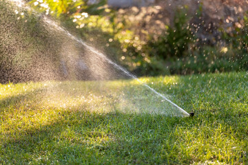 Automatic irrigation system with water sprinkler for maintaining grass lawn