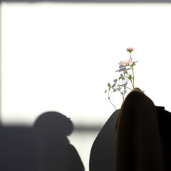 Minimalist flower in vase with shadow against bright white background