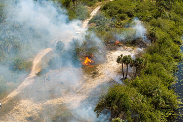 Fire and smoke dominate a Florida forest scene during dry season as vegetation fire spreads rapidly...