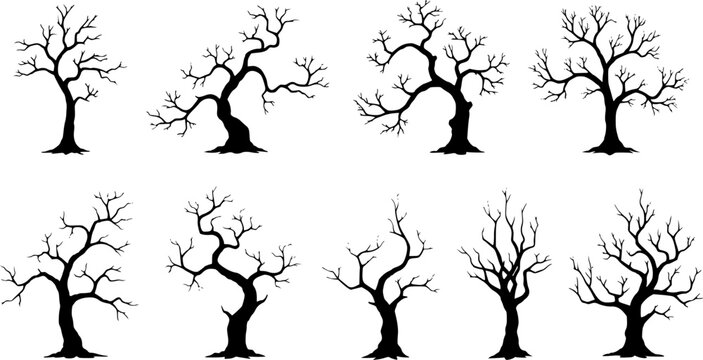 scary vector dead trees isolated on white. detailed crooked spooky leafless trees set.